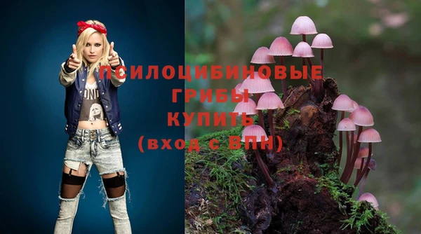 mdma Гвардейск