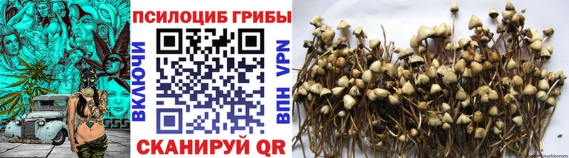 Галлюциногенные грибы ЛСД  купить  цена  Горячий Ключ 