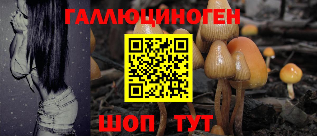Псилоцибиновые грибы мухоморы Горячий Ключ